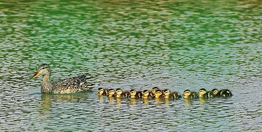 《雷能思之门》发售宣传片 Steam评价特别好评